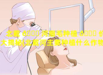 北戴 🐎 河眉毛种植 🐕 价格大揭秘(北戴河主要种植什么作物)